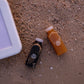 صندوق العائلة